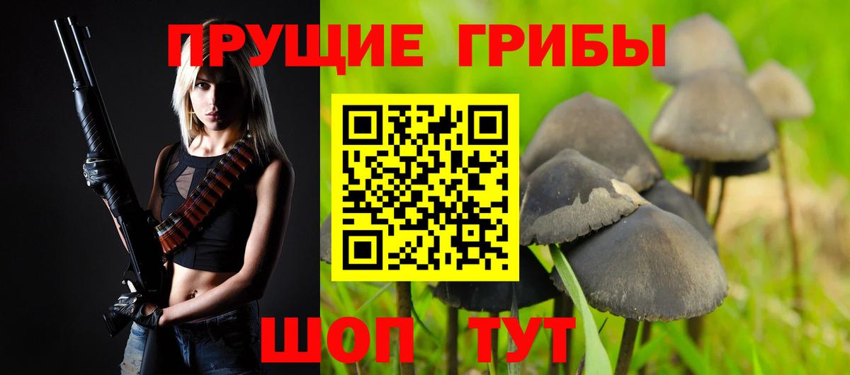 Галлюциногенные грибы GOLDEN TEACHER  Вход с VPN  Шахты 